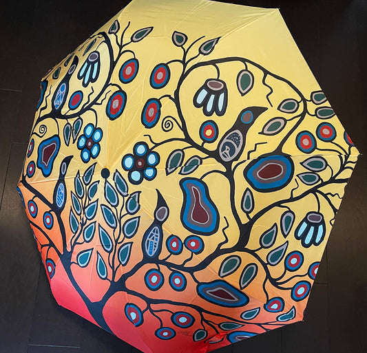 Cody James Houle - Stronger Together with Love and Understanding